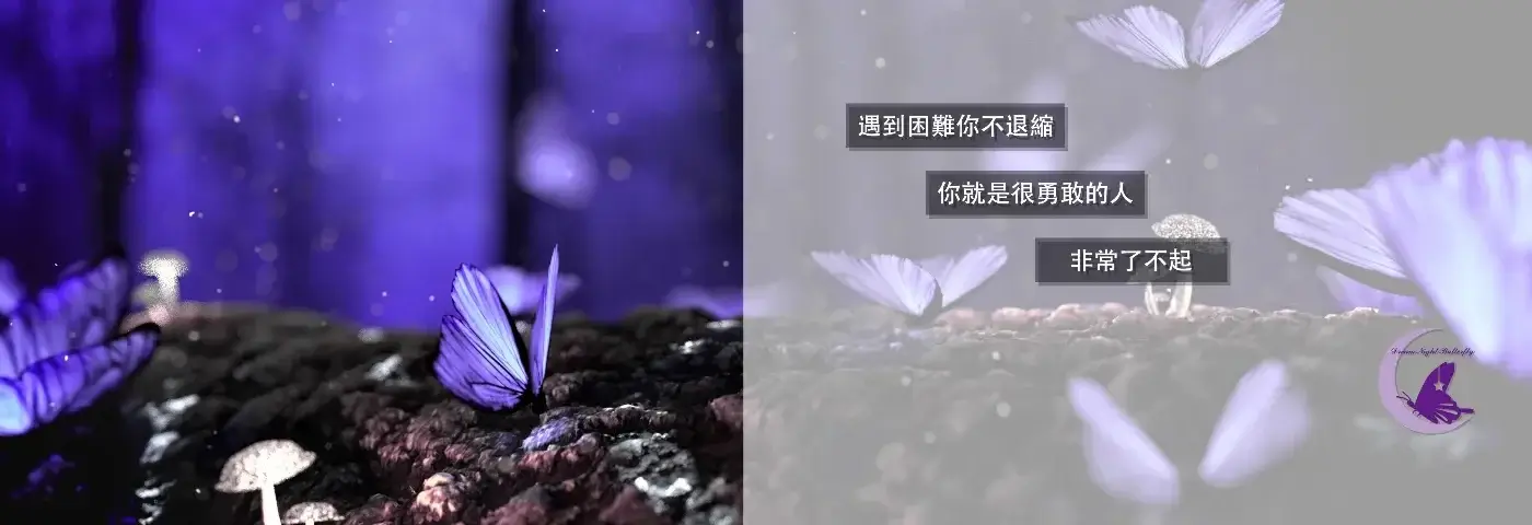 平面設計師夢蝶